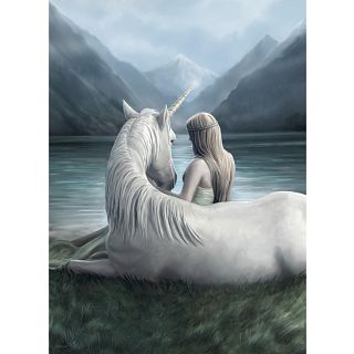 Unicorn Connection - Anne Stokes
