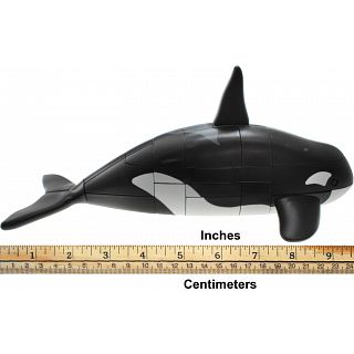 Anipuzzle - Orca (Killer Whale)