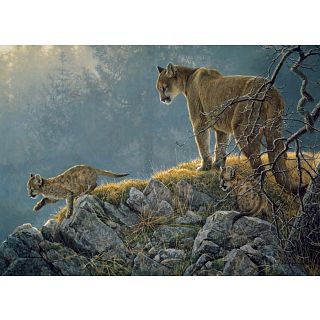 Excursion - Cougar and Kits - Family Pieces Puzzle