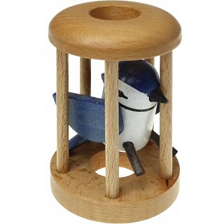 Blue Jay in a Cage