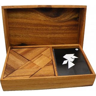 Logic Tangram Premium Set with 64 Play Cards