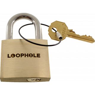 LoopHole Puzzle | Metal Locks | Puzzle Master Inc
