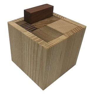 Houston, We Have a Puzzle