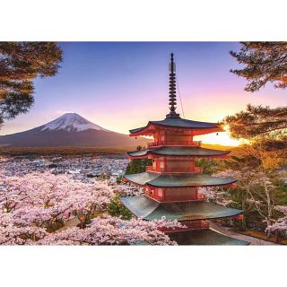 Mount Fuji Cherry Blossom View
