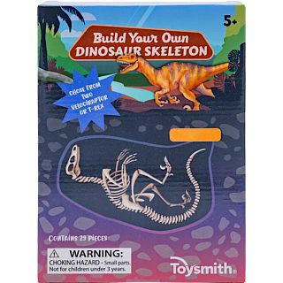 Build Your Own Dinosaur Skeleton