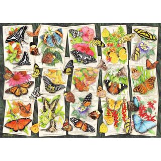 Tropical Butterflies