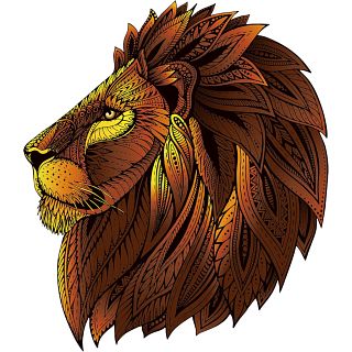 Rainbow Wooden Puzzle - Lion