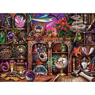 Cabinet of Curiosities - Large Piece
