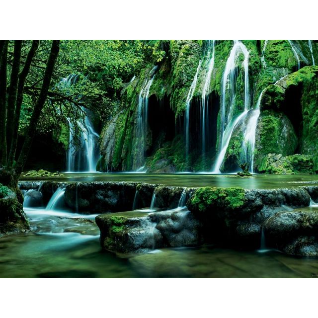 Magic Forests: Cascades