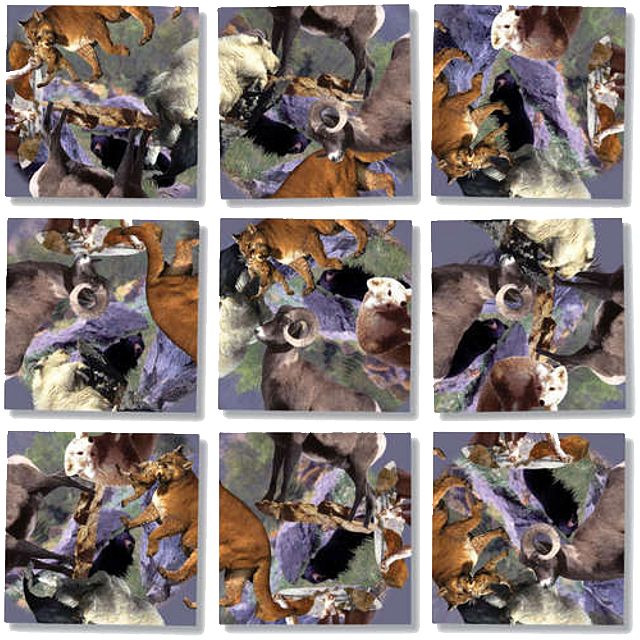 Scramble Squares - Rocky Mountain Wildlife