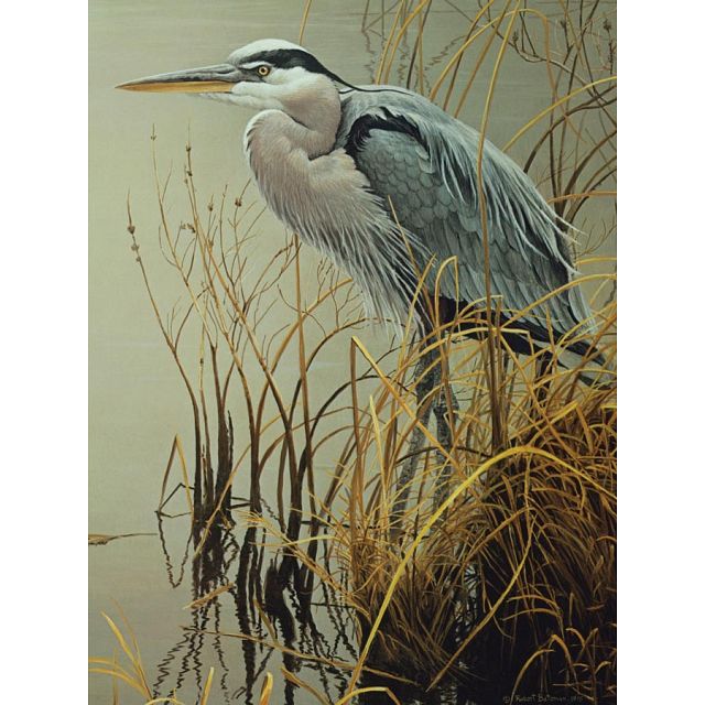 Great Blue Heron - Large Piece