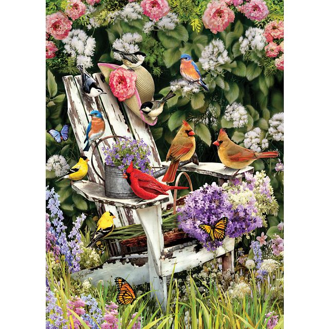 Summer Adirondack Birds