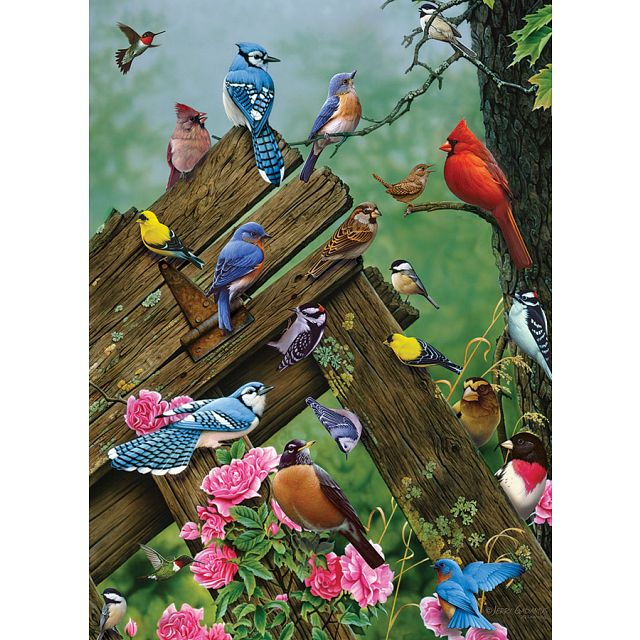 Birds of the Forest