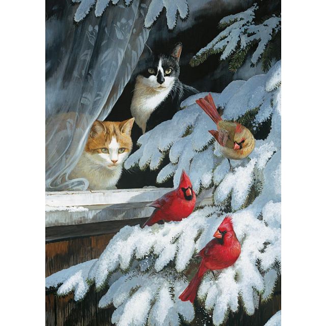 Bird Watchers
