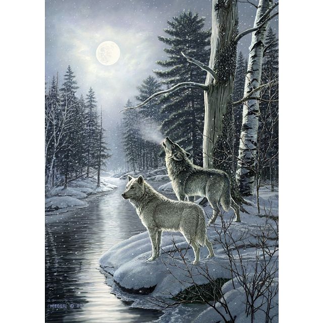 Wolves By Moonlight