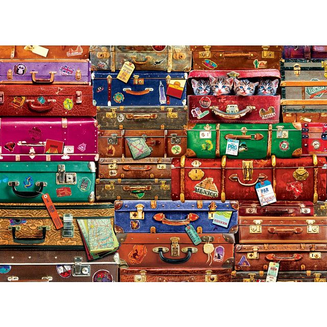Travel Suitcases