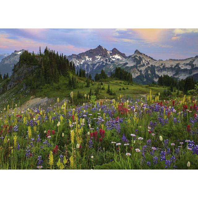 AVH Edition: Tatoosh Mountains