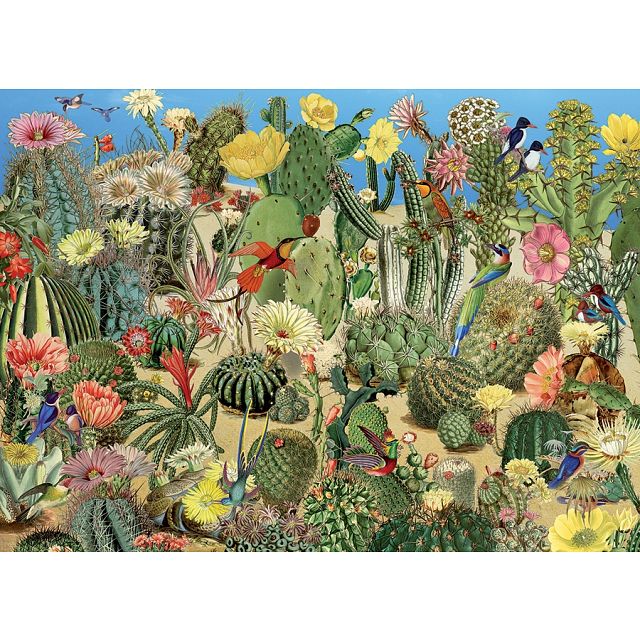 Cactus Garden
