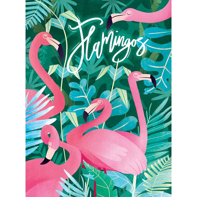 Fantastic Animals: Flamingos
