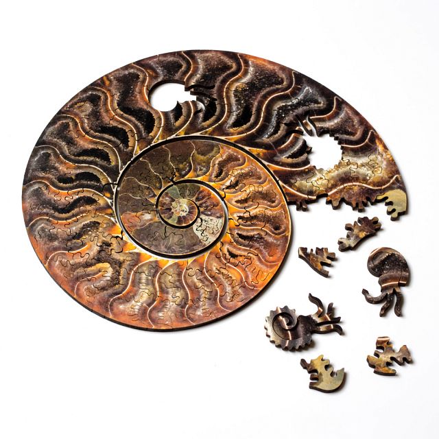 Ammonite Wooden Jigsaw Puzzle