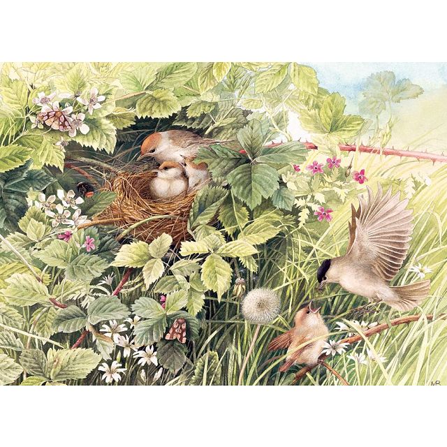 Hidden Nest
