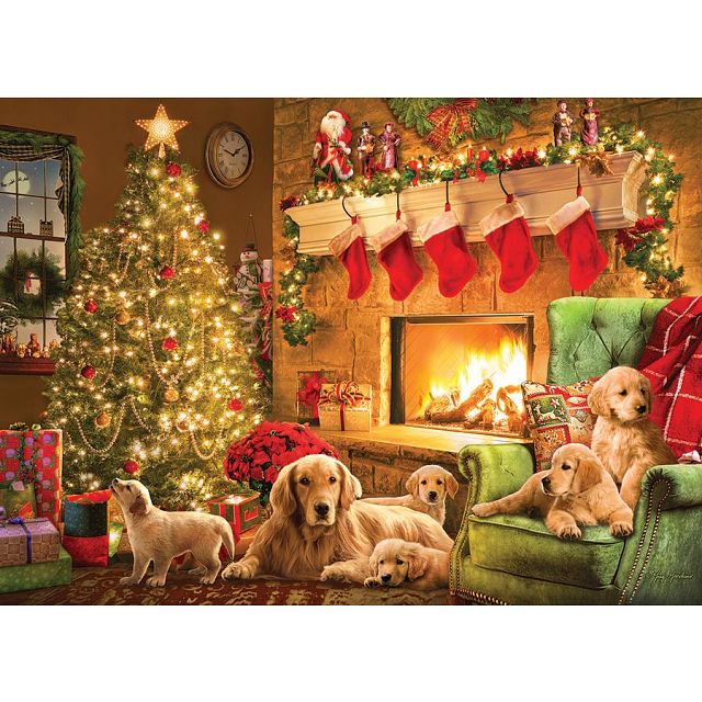 Cozy Fireplace