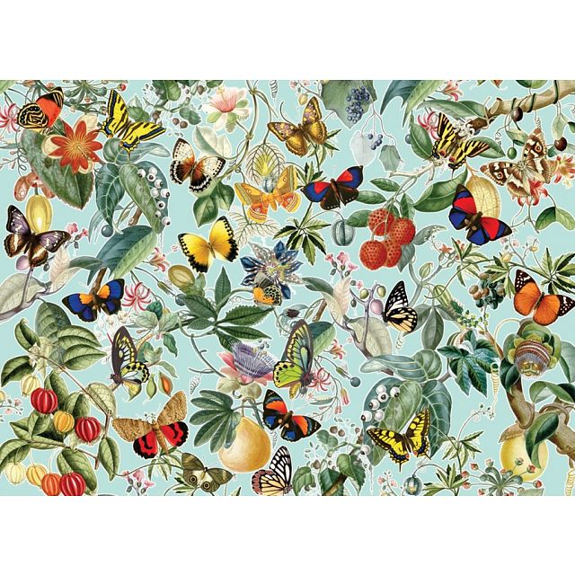Fruit and Flutterbies