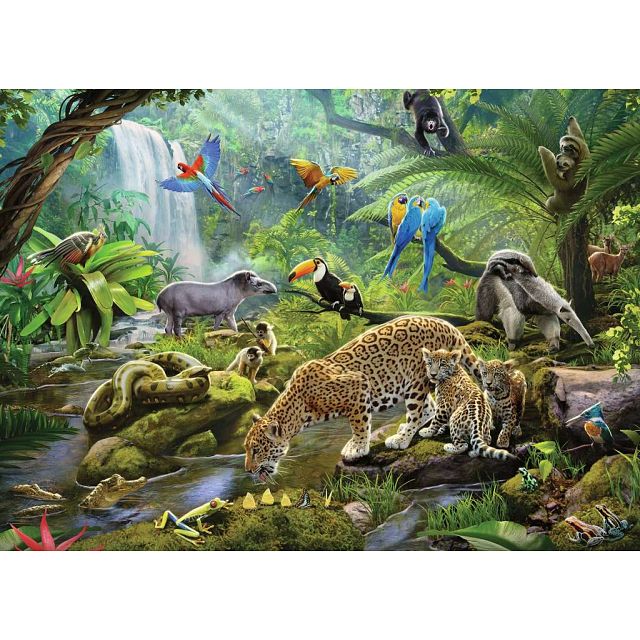 Rainforest Animals - 60 XXL Pieces