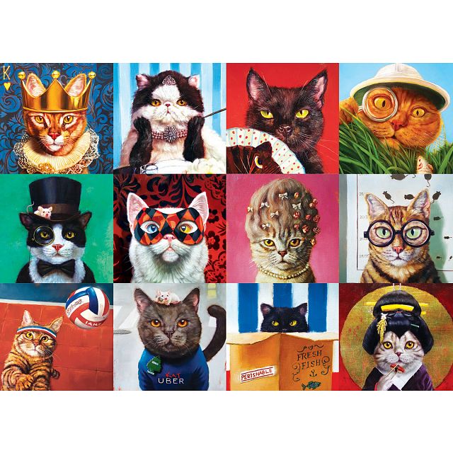 Funny Cats