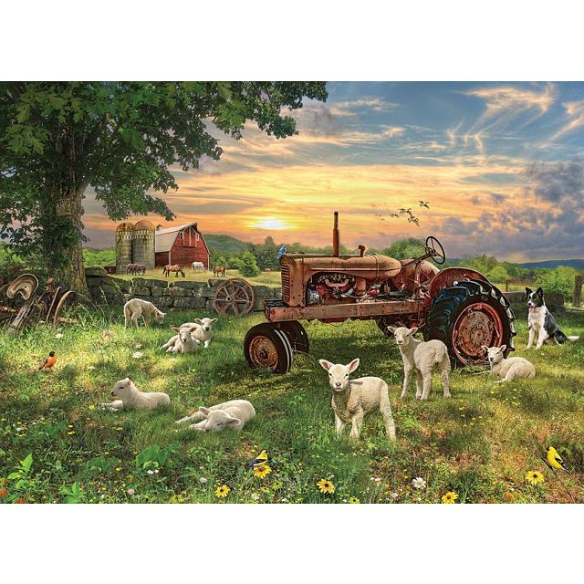Field At Sunrise