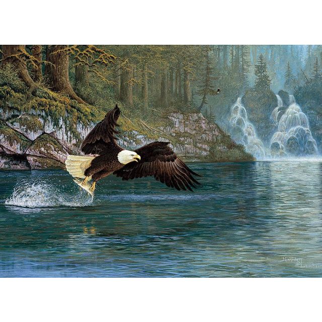 Fly Fishing