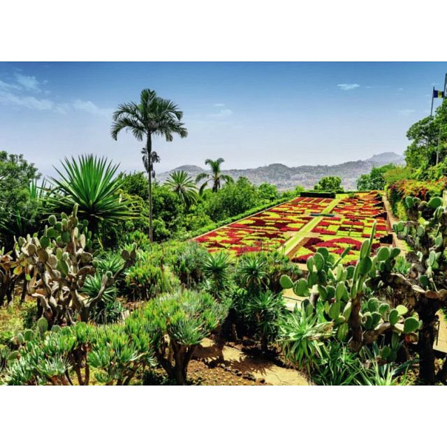 Beautiful Gardens: Botanical Garden, Madeira