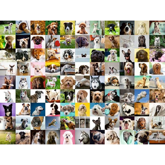 99 Loveable Dogs - Large Piece Format