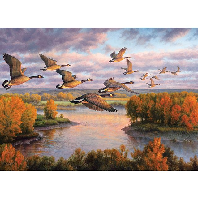 Migration
