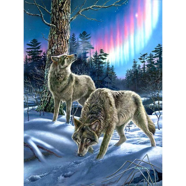Wolves and Lights