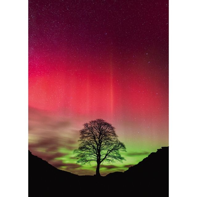 Power of Nature: Sycamore Gap