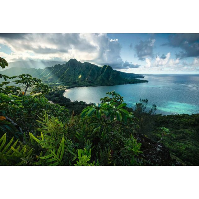 Hawaiian Viewpoint