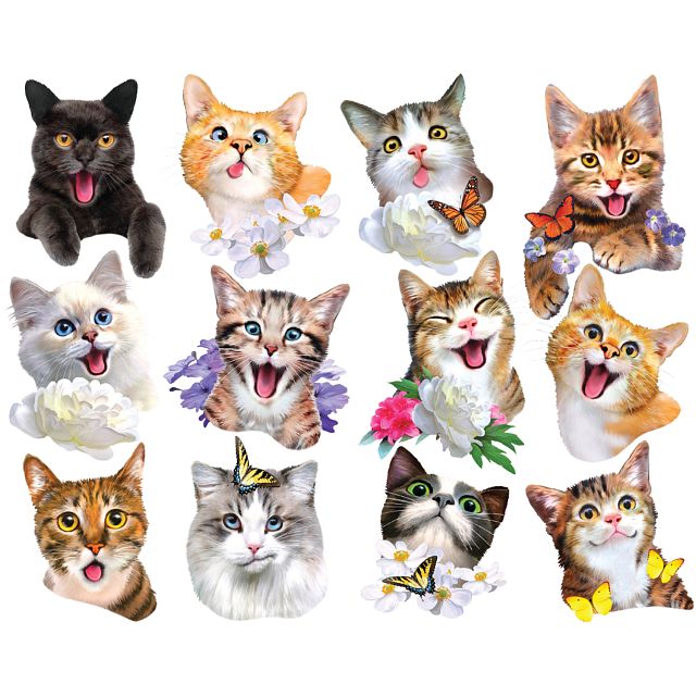 Cat Selfies - 12 Mini Shaped Puzzles | 500-749 Pieces | Puzzle