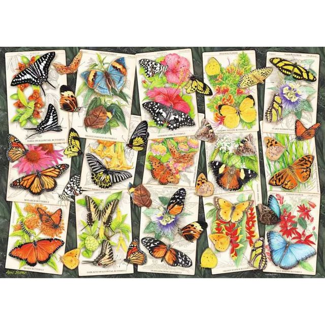 Tropical Butterflies
