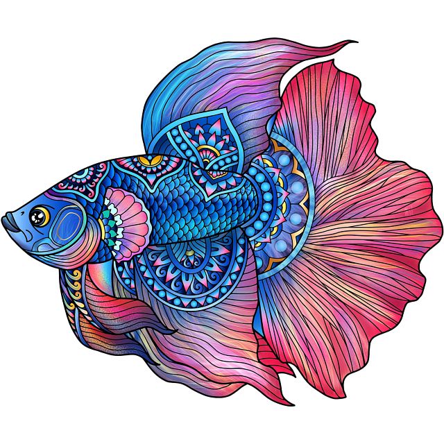 Rainbow Wooden Puzzle - Fighting Fish