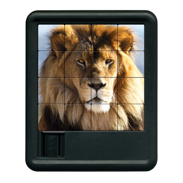 Animal Kingdom Sliding Piece Puzzle - Lion