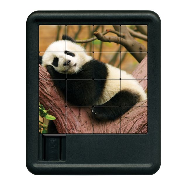 Animal Kingdom Sliding Piece Puzzle - Panda