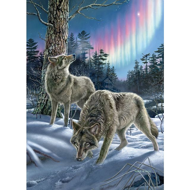 Northern Lights - Large Piece