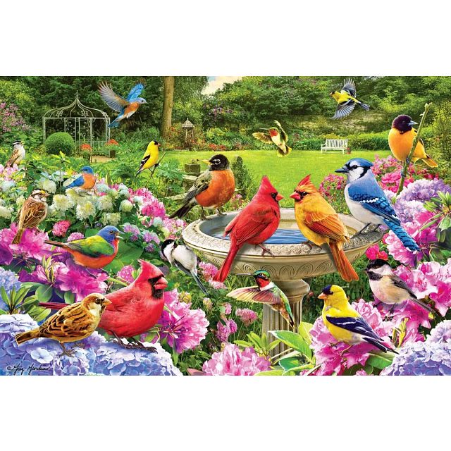 Birds Gathering