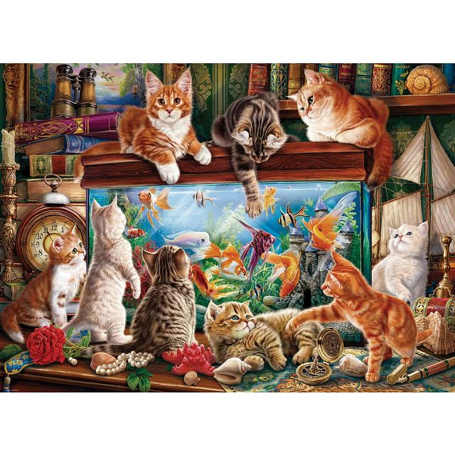Cats By The Aquarium