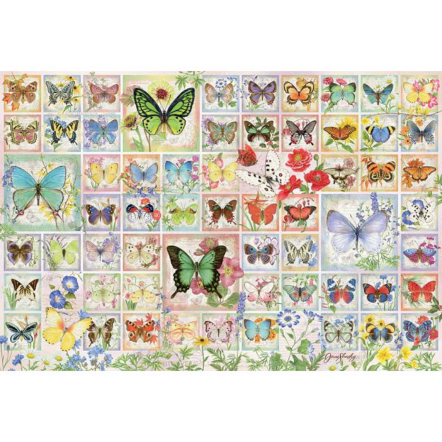 Butterflies and Blossoms