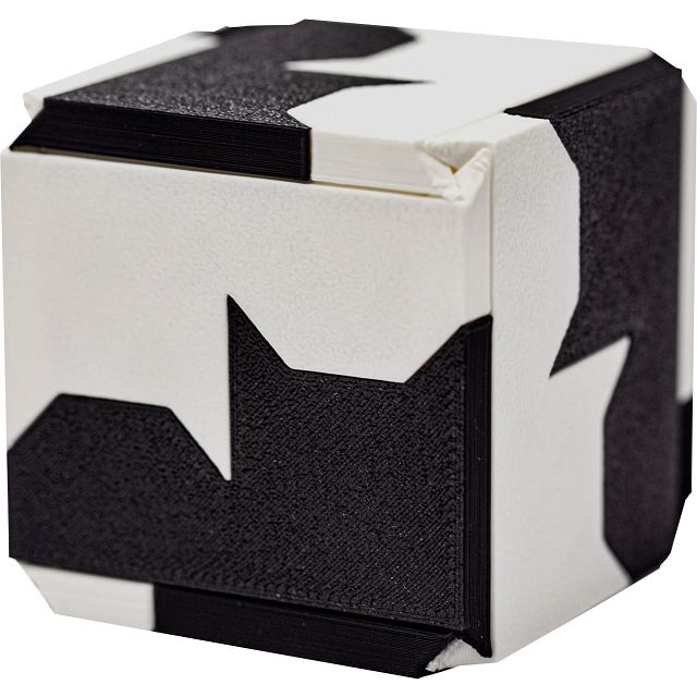Black Cat White Cat