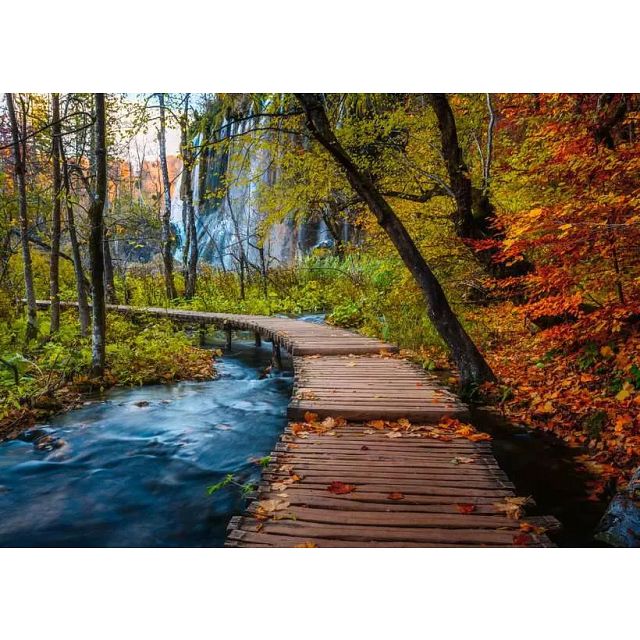 Beautiful Walkways: Autumnal Wood Trail