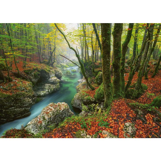 Magic Forests: Little Brook