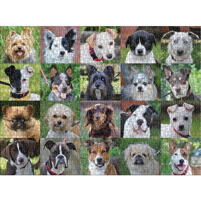 Rescue Dogs - 1000 Piece Jigsaw Puzzle